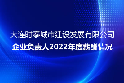 大連時(shí)泰城市建設發(fā)展有限公司 企業(yè)負責人2022年度薪酬情況